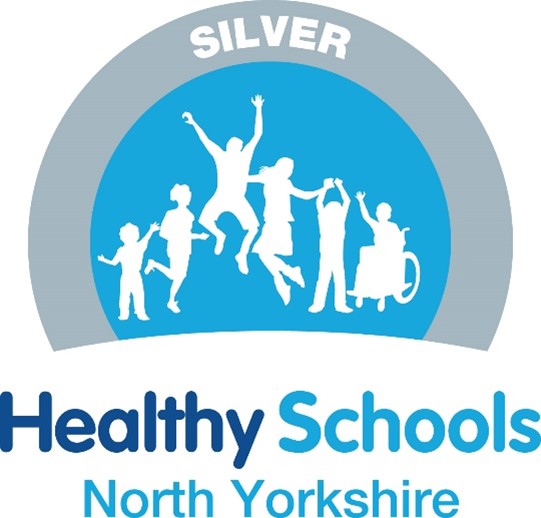 Healthy School NY Logo Silver Healthy School NY Logo Silver