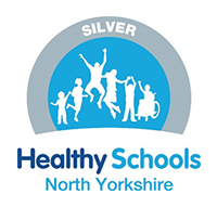 Healthy School NY Logo Silver small